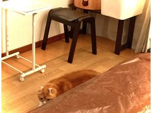 ★ガチガチ筋肉「もみほぐし」★緊張和らぐ疲労回復に「リンパ」