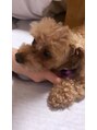 ニコル 桂店(NICOL)&nbsp;可愛い可愛い愛犬がいます！