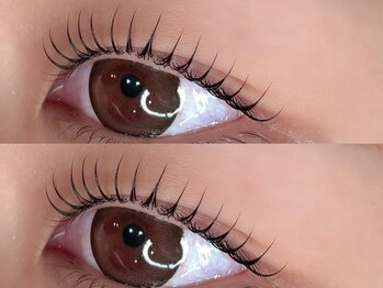 アリー(Ally)/ブラックティント