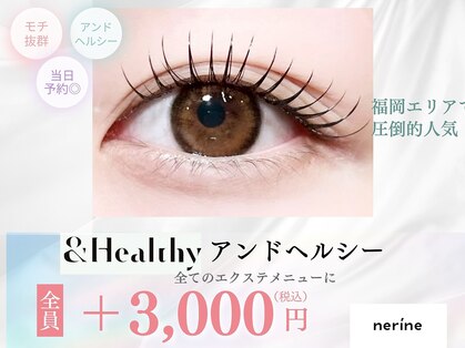 ネリネ 博多(nerine)の写真