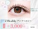 ネリネ 博多(nerine)の写真
