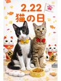 アイリス(Iris) ウチの2ニャンズ☆可愛いでしょ!わんぱく男の子