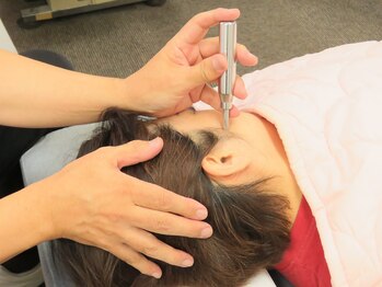 ジャパンカイロプラクティックセンター/