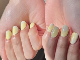 【Sedum】ニュアンスイエロー