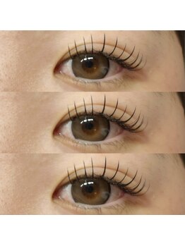 アイラッシュ ベイビーステップ(Eyelash Baby step)/フラットラッシュ120本