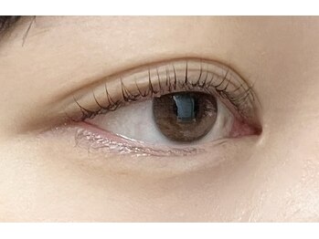 シンシア(SinSia)/