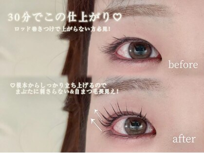 スワロ(Swallow)の写真