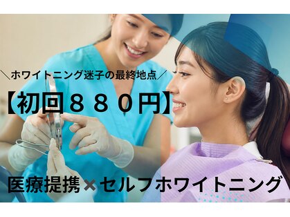 エール(aile)の写真