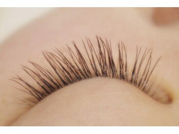 エム(M)/セーブル80本