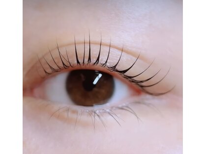 いろはの写真