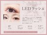 《可愛いが長続き♪次世代LEDエクステ》フラット120本