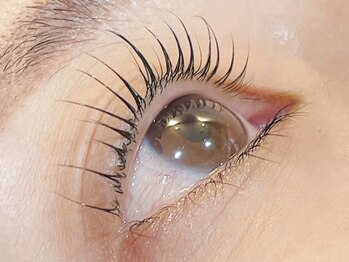 ノアイ(NOAe)/アイラシュカール