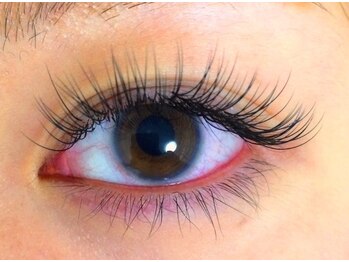 スンダリ(Sundari)/フラットラッシュ80本☆