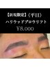 【新規限定】《平日》ハリウッドブロウリフト