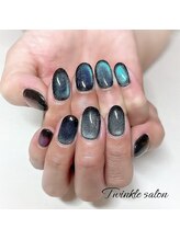 ティンクル サロン(Twinkle salon)/10本マグネットネイル