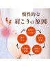 【初回限定】Heilenオリジナル「ストレートネック根絶スキーム」