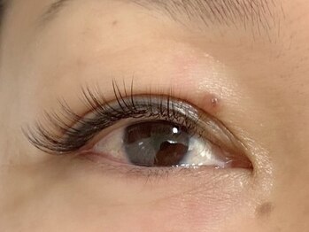 アンボワーズ(Amboise)/ボリュームラッシュ120束