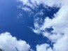 【U24】学生割　LEDフラットラッシュつけ放題