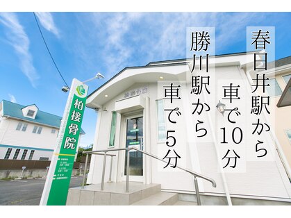 柏接骨院/Body Activation Studioの写真