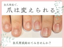 ニコプラス 大橋店(NICO+)