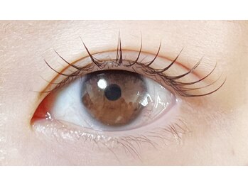 キーネイルアンドアイラッシュ(KEY)/ラッシュリフト