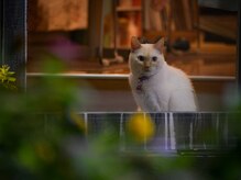 リラクゼーション整体　あおぞら施療室