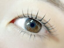 ベルアイラッシュ(Belleyelash)/【まつげパーマ】瑞江/まつげ