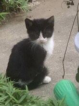 ほぐし屋いこい 吉川美南店&nbsp;篠田 佳伸