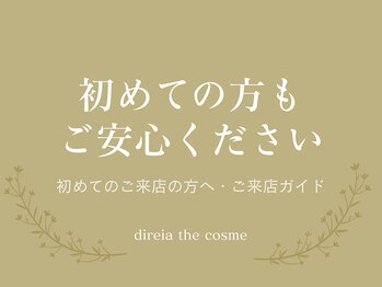 ディレイア ザ コスメ 有楽町マルイ店(direia the cosme)/初めての方へご[有楽町駅/銀座]