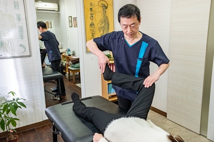 カイロプラクティック　マネジメント 楽天市場】カイロプラクティック・マネジメント メリデル・I