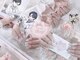 ベリル バイ スタジオ エクラン(Beryl by Studio ecrin)の写真
