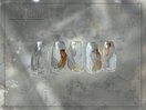 【パラジェル】ニュアンスネイル