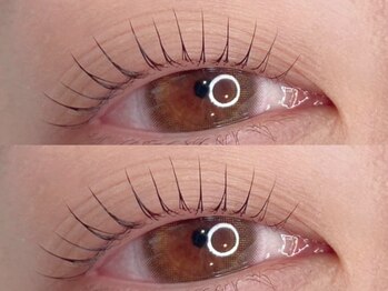 アリー(Ally)/学割ラッシュリフト