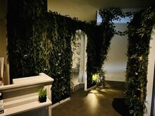 店内は少し暗く静かな空間となります。隠れ動物がいるかも！？