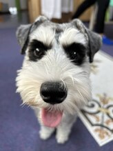 ワイズスタイル(Y’s style)&nbsp;Yu ≪エステ≫