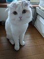 仙豆のちから 横浜関内店&nbsp;猫と遊んで癒されています[ドライヘッドスパ/関内/肩こり/頭痛]