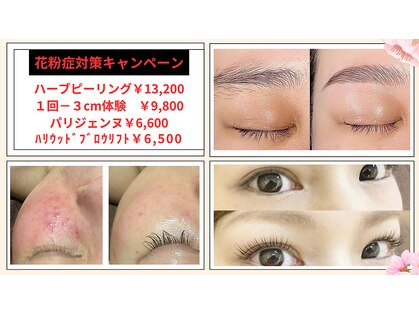 ミカド(MIKADO)の写真