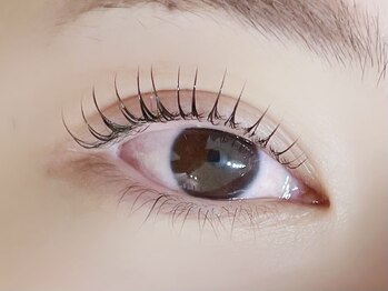 デジール/池袋/韓国風まつ毛パーマ