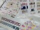 ノル ネイル(nol:1 nail)の写真
