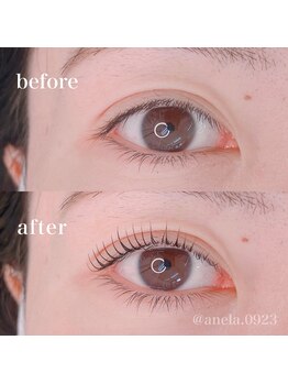 アネラ(ANELA)/まつ毛パーマ上【小山市】