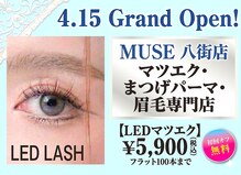 ミューズ 八街店(MUSE)