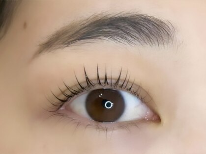 ジプソ(gypso)の写真