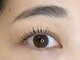 ジプソ(gypso)の写真