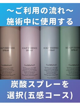 ぐっすりん/【お好きな炭酸スプレーを選択】