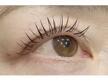 リグ(rig')/LEDフラットセーブルラッシュ