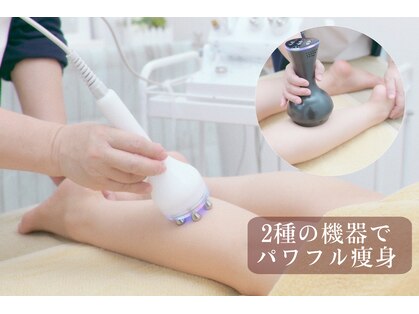 カイセイドウ(KAISEIDO)の写真