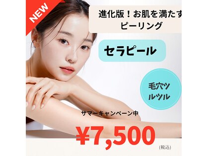 せんすの写真