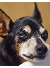 アロマクラフト カルミア(aroma craft kalmia)&nbsp;中山 秀展