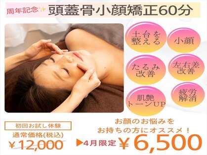 パピヨン(papillon)の写真