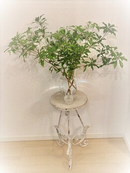 エー サロン(A salon)/癒し